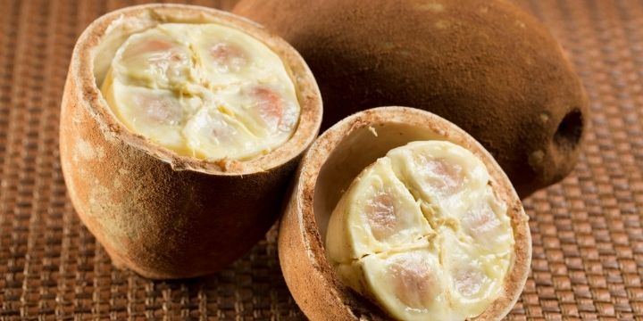 Cupuaçu
