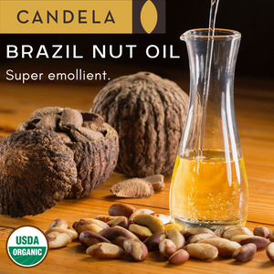 250ml (8.45oz) Organic Brazil Nut Oil (food format)