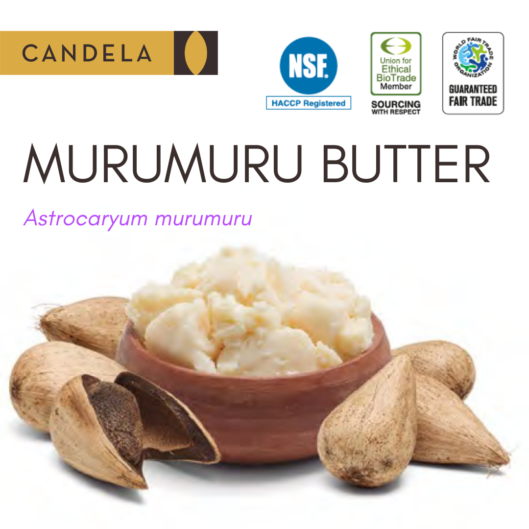 Wholesale Fair Trade Wild Murumuru Butter