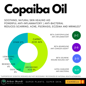 Wholesale Wild Copaiba Balsam (Oleoresin)