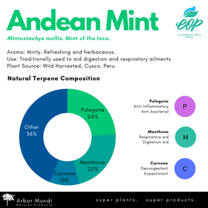 Andean Mint Essential Oil