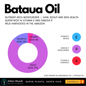 Wholesale Wild Bataua / Ungurahui / Pataua Oil