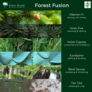 30ml Forest Fusion Essential Oil Blend