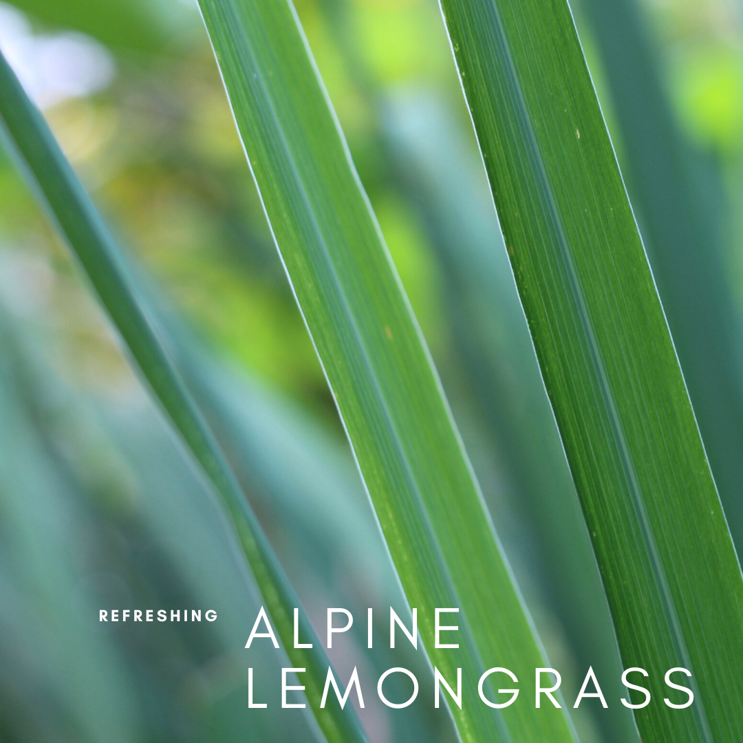 Special Lemongrass Essential Oil
