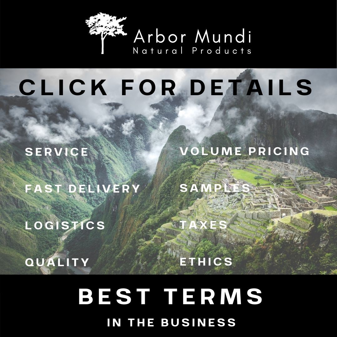 Our Terms
