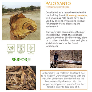 Wholesale Sustainably Sourced Palo Santo Essential Oil