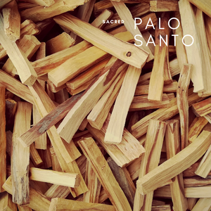 Sustainably Sourced Palo Santo Essential Oil