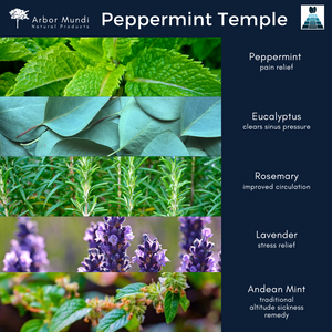 30ml Peppermint Temple Essential Oil Blend