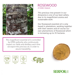 Wholesale Sustainably Sourced Rosewood Essential Oil