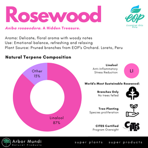 Wholesale Sustainably Sourced Rosewood Essential Oil