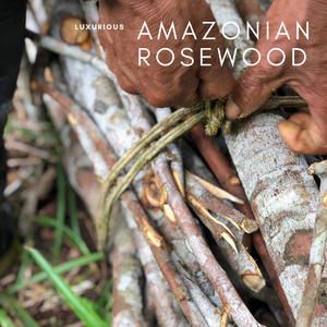 Wholesale Sustainably Sourced Rosewood Essential Oil