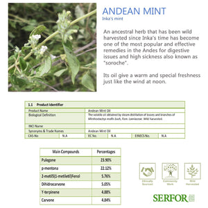 Wholesale Andean Mint Essential Oil (Muña)