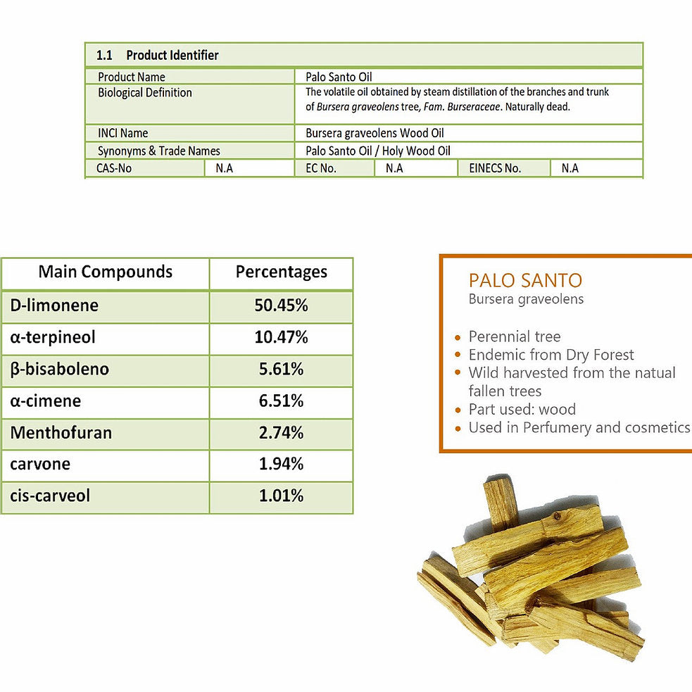 Wholesale Sustainably Sourced Palo Santo Essential Oil