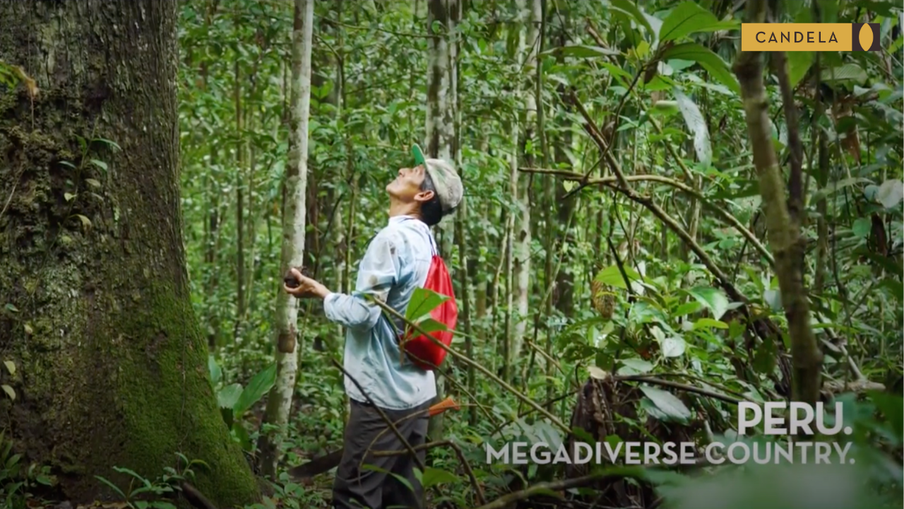 Candela Peru - Who are we?