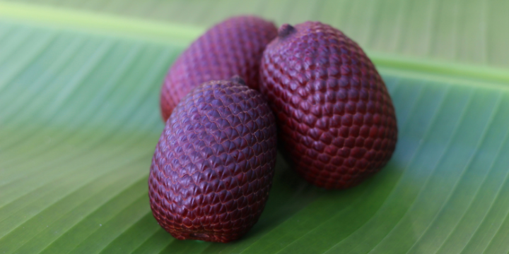 Aguaje  / Buriti Fruit