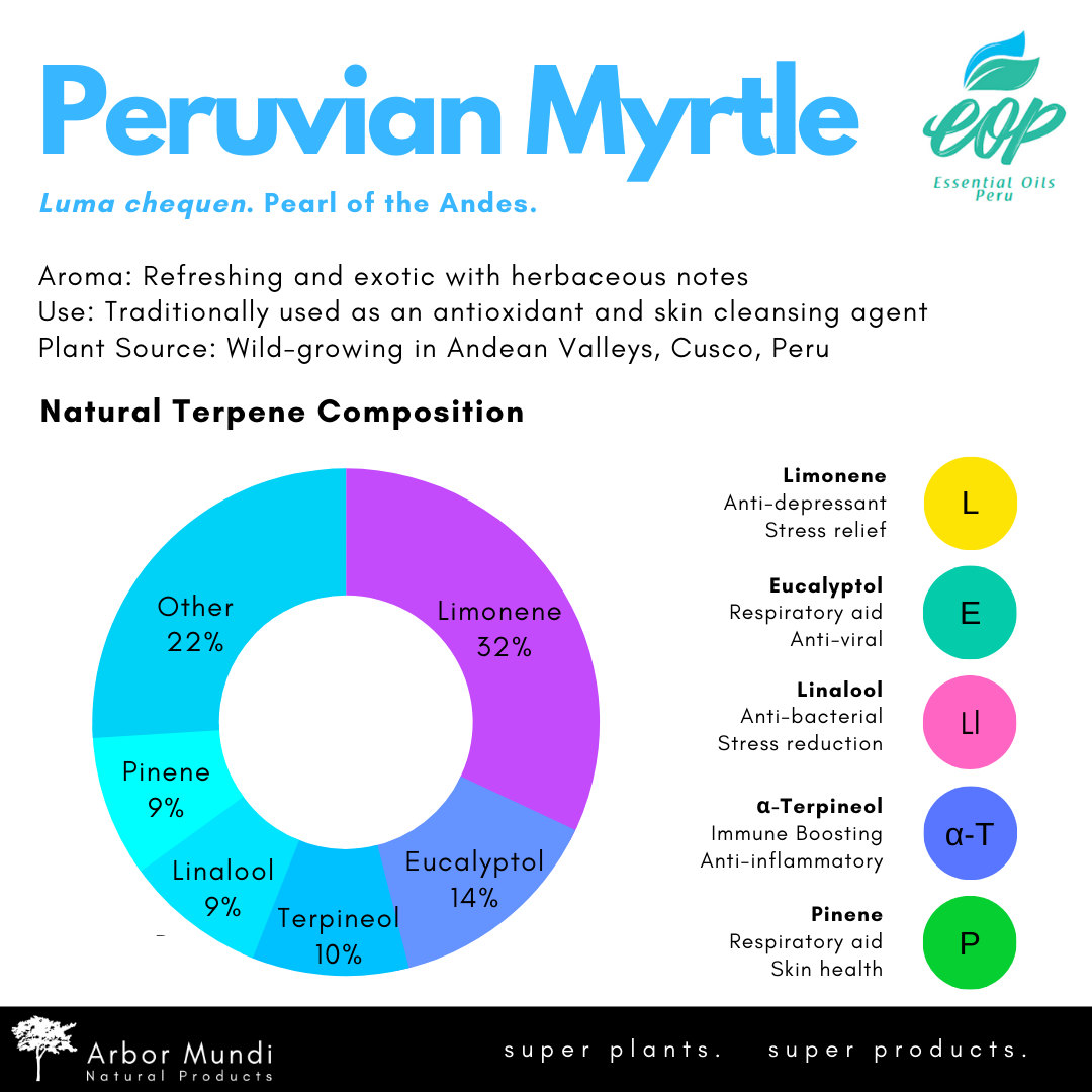Wholesale Peruvian Myrtle Essential Oil (Arrayán)