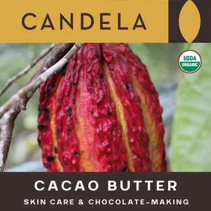 Wholesale Fair Trade Organic Cacao Butter