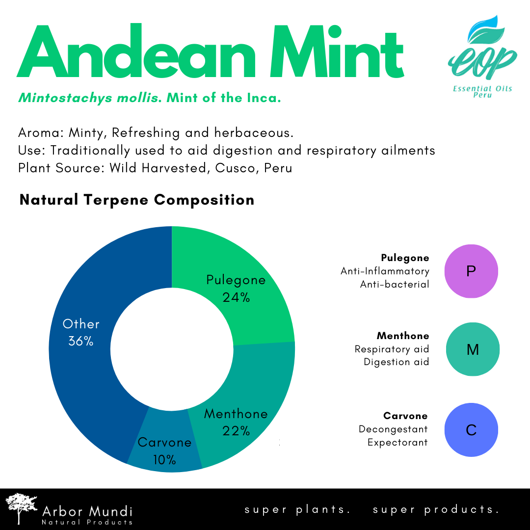 Wholesale Andean Mint Essential Oil (Muña)