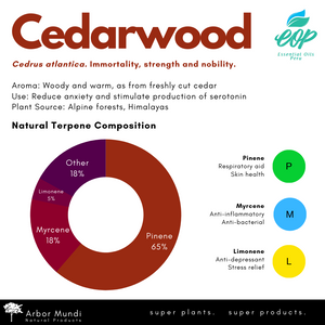 Atlas Cedar Essential Oil