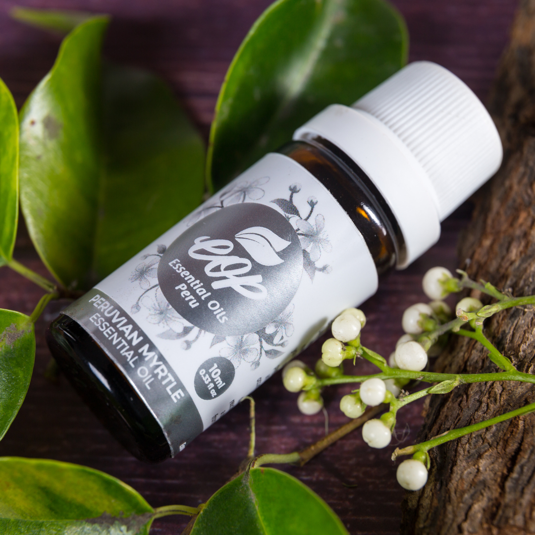 Peruvian Myrtle Essential Oil - Arbor Mundi Natural Products
