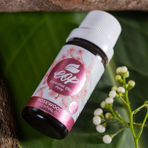 Sustainably Sourced Rosewood Essential Oil