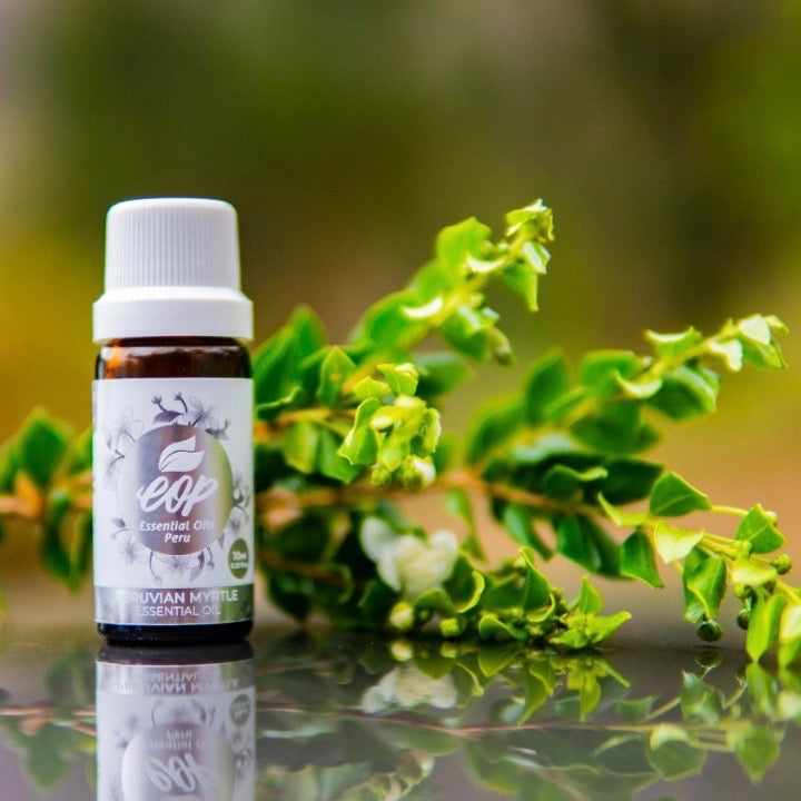Peruvian Myrtle Essential Oil - Arbor Mundi Natural Products