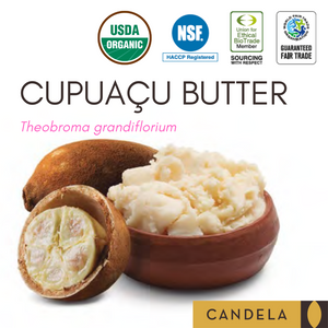 Wholesale Fair Trade Cupuaçu Butter