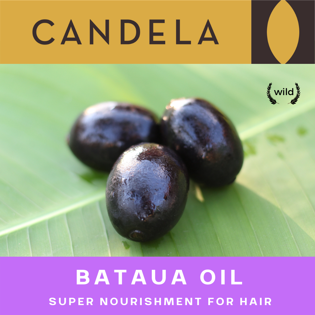 30ml Wild Ungurahui Oil / Bataua Hair Oil