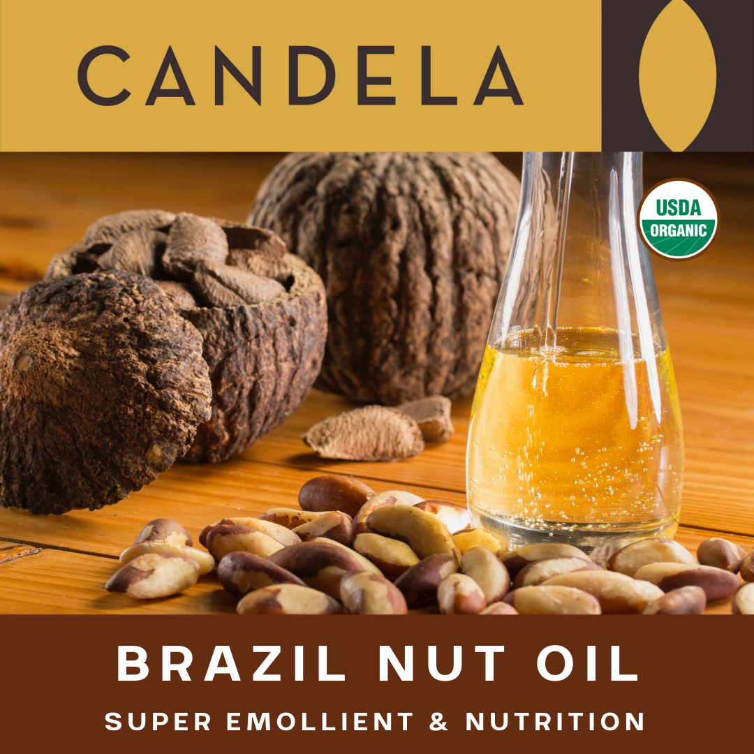 Wholesale Organic Brazil Nut Oil