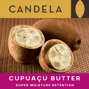 Wholesale Fair Trade Cupuaçu Butter