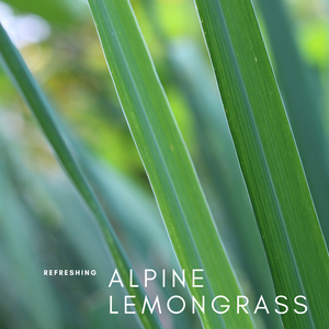 Special Lemongrass Essential Oil