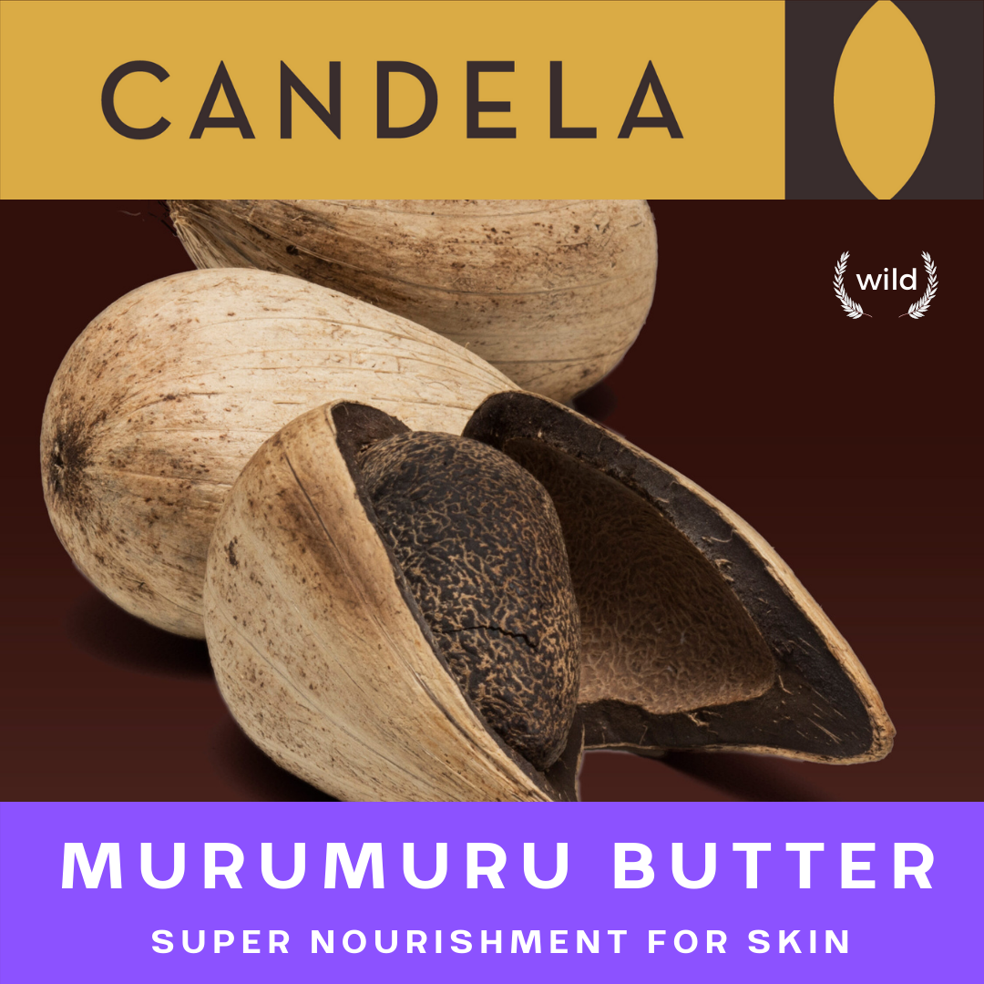 Wholesale Fair Trade Wild Murumuru Butter - Arbor Mundi Natural Products