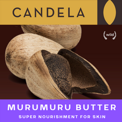 Murumuru butter - DISTRIBUTION AND WHOLESALE B2B - POLISH