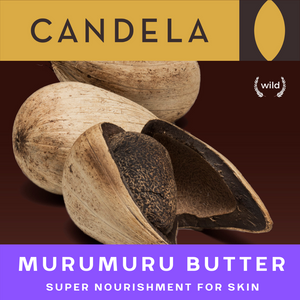Wholesale Fair Trade Wild Murumuru Butter