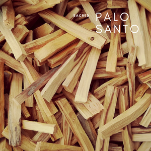 Wholesale Sustainably Sourced Palo Santo Sticks