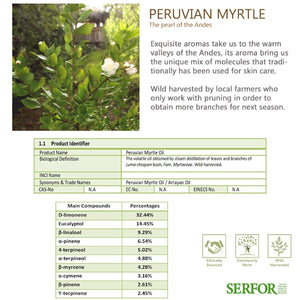 Wholesale Peruvian Myrtle Essential Oil (Arrayán)