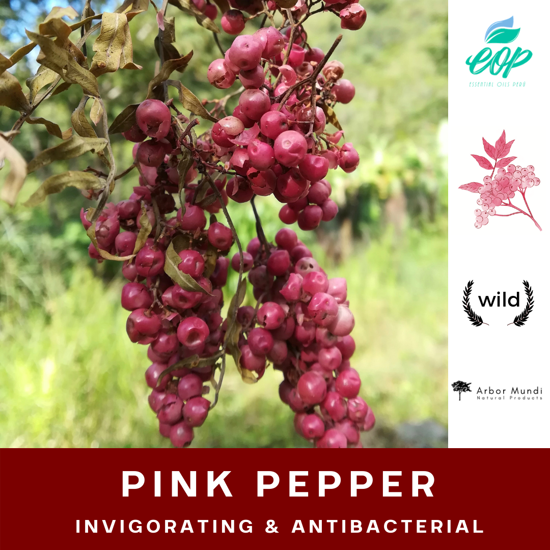 Pink Pepper Essential Oil - Arbor Mundi Natural Products