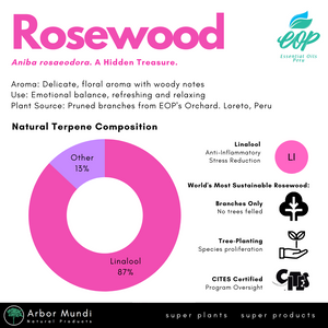 Sustainably Sourced Rosewood Essential Oil