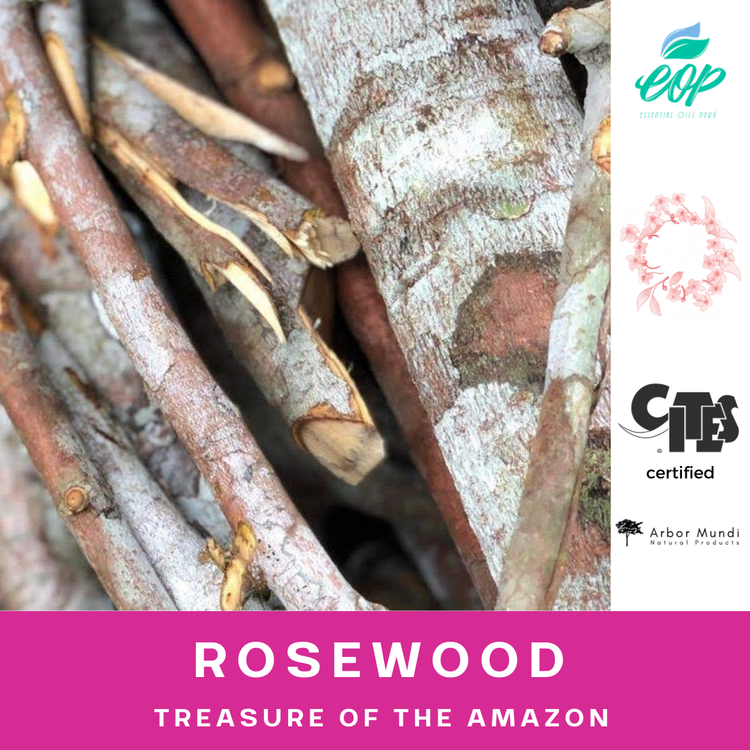 Wholesale Sustainably Sourced Rosewood Essential Oil