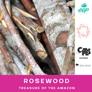 Wholesale Sustainably Sourced Rosewood Essential Oil