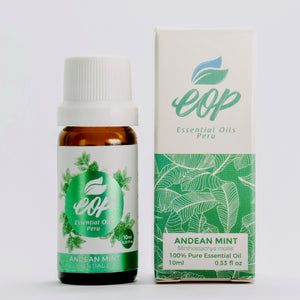 Andean Mint Essential Oil